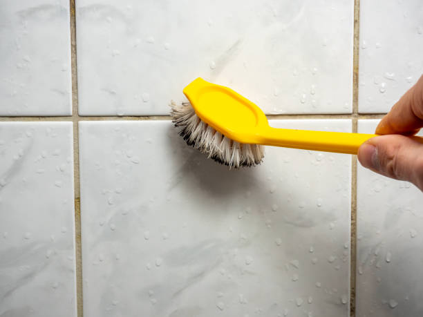 Best Mold Remediation Services  in Lake Wales, FL