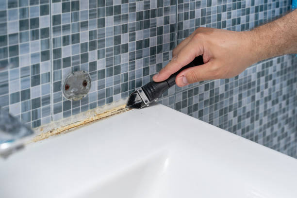 Best Professional Mold Removal  in Lake Wales, FL