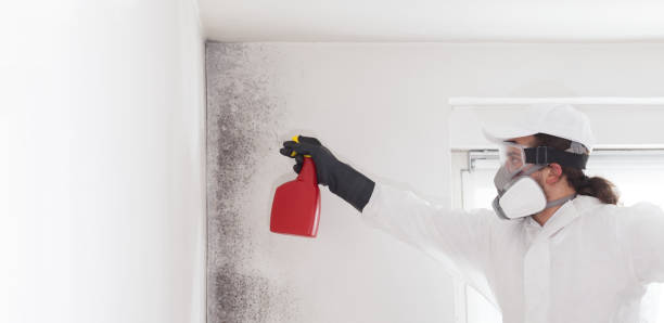 Crawl Space Mold Removal in Lake Wales, FL