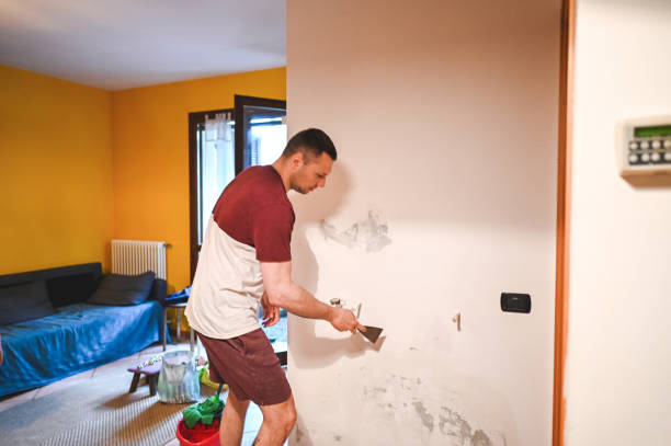 Best Home Mold Removal  in Lake Wales, FL