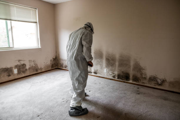 Best Crawl Space Mold Removal  in Lake Wales, FL